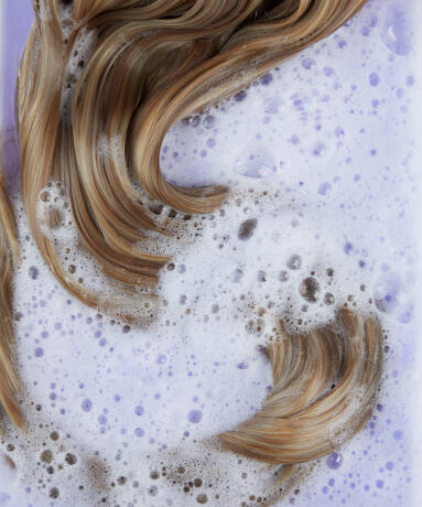 Silver Shampoo for Hair Extensions null